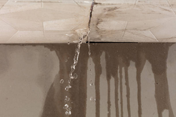 Professional Water Extraction technician working in Maybee, MI